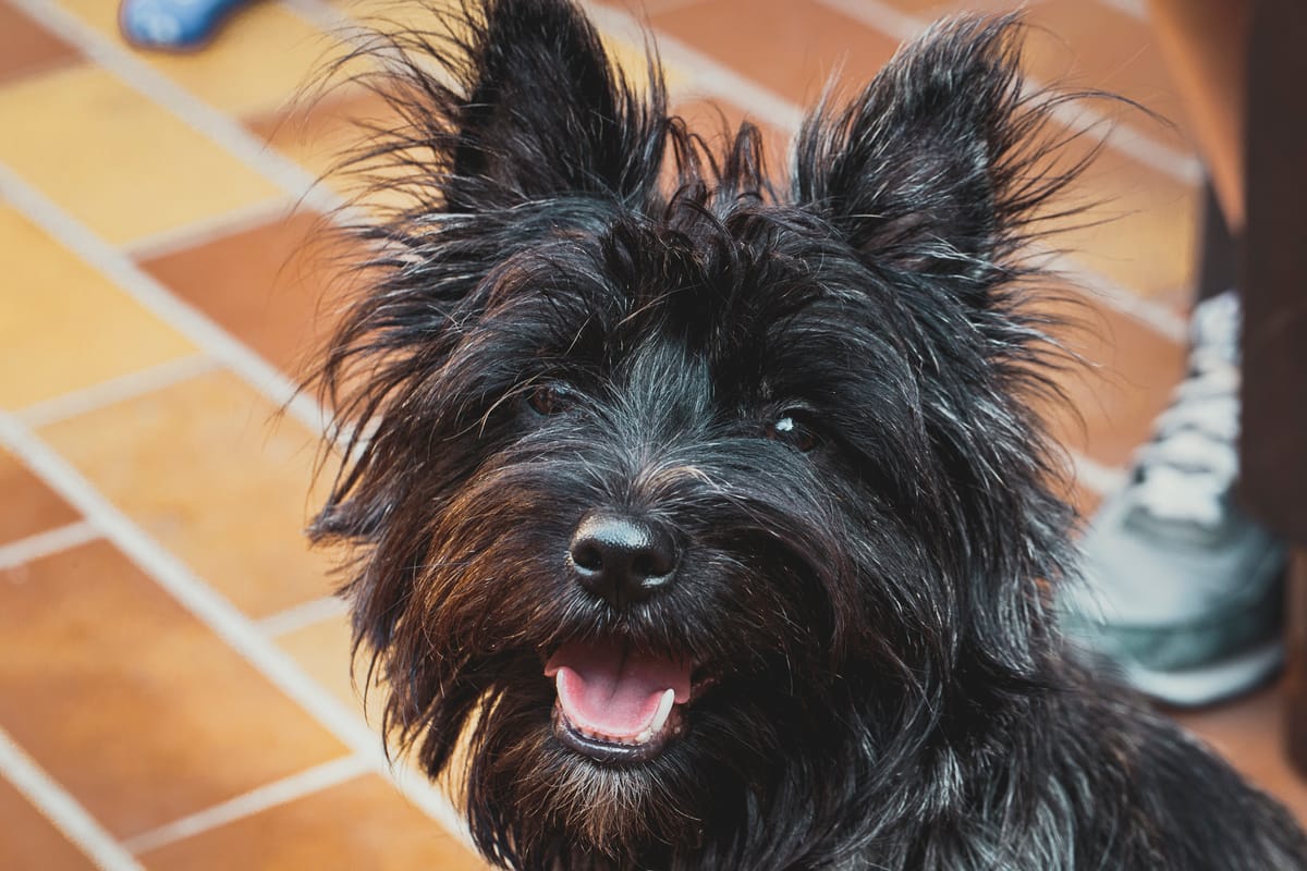Photograph by Jp Valery in June 2018