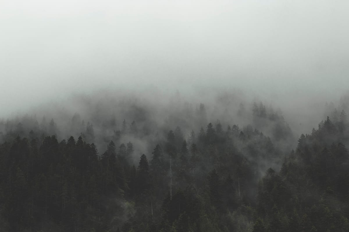 Photograph by Jp Valery in June 2018