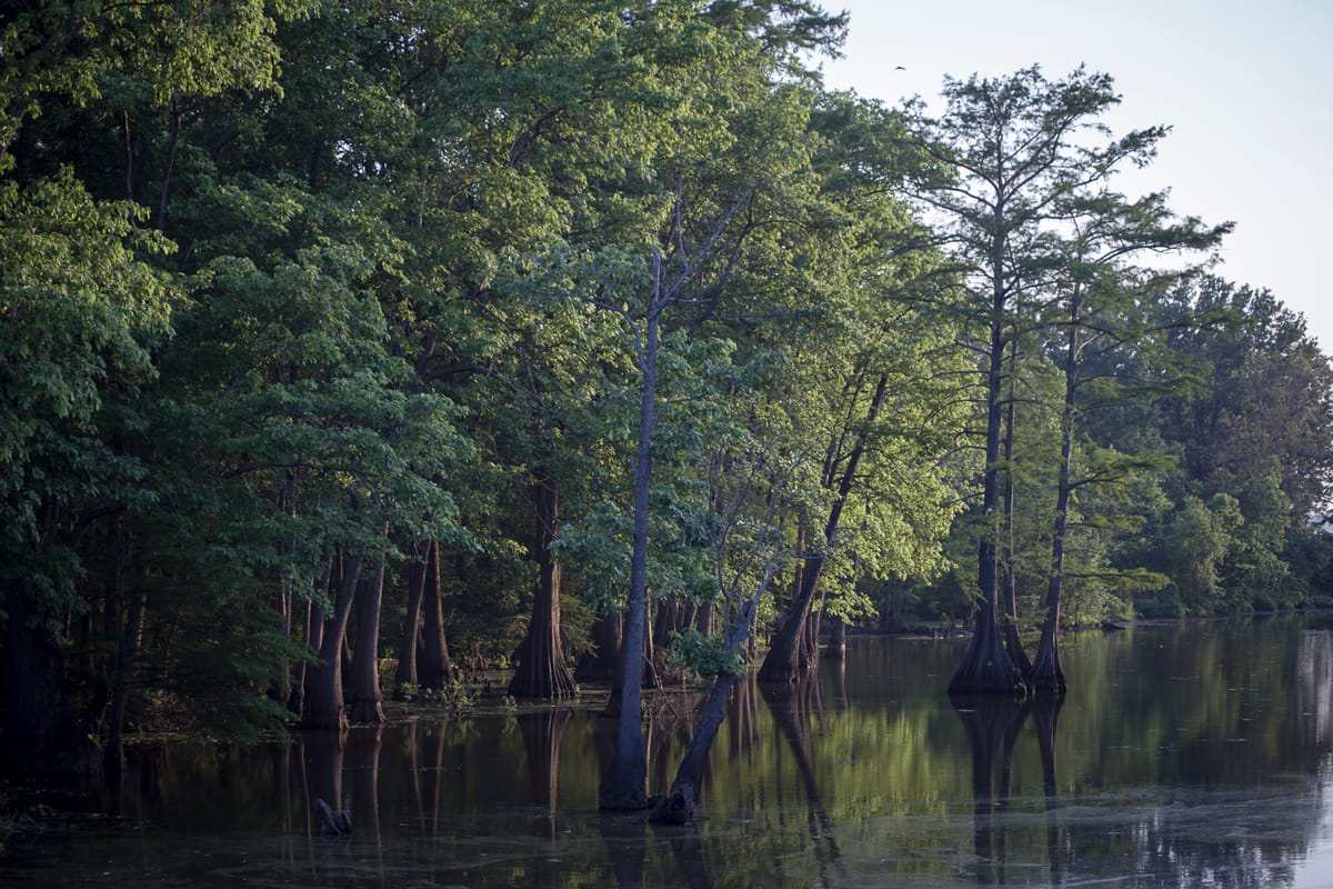 Photograph by Jp Valery in May 2016