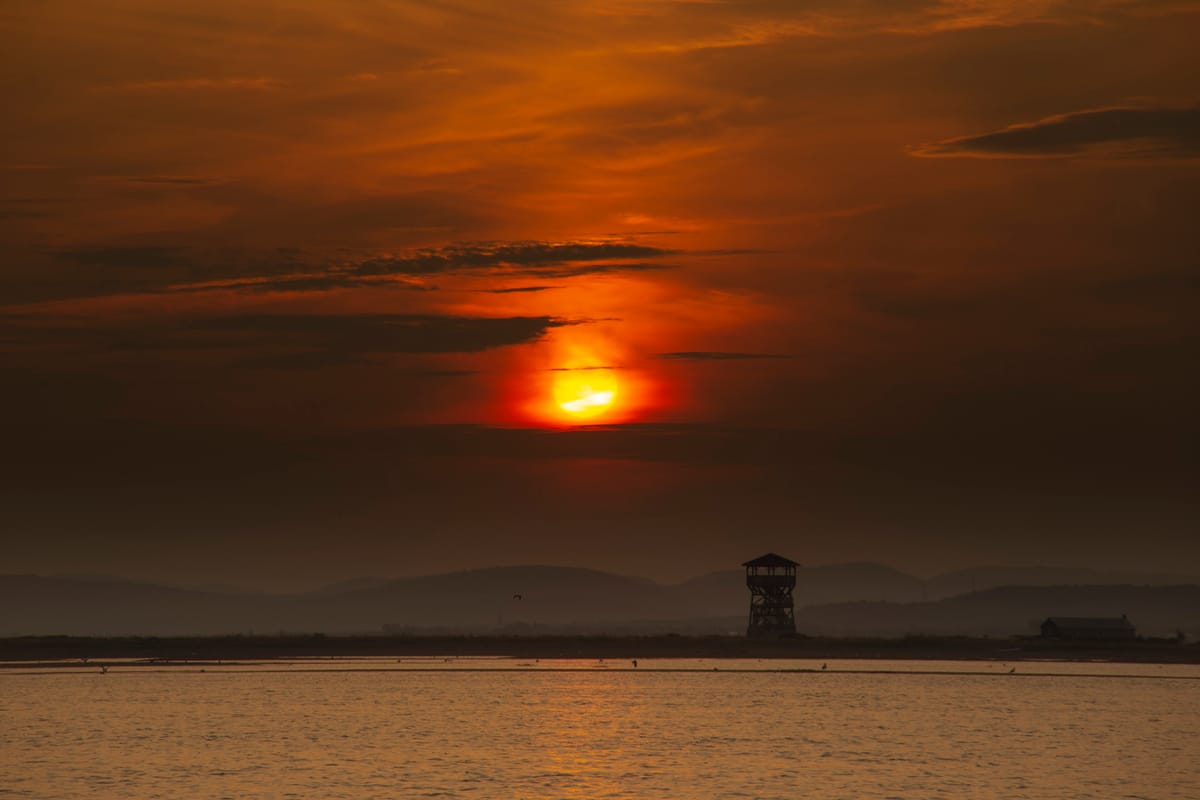 Photograph by Jp Valery in August 2021