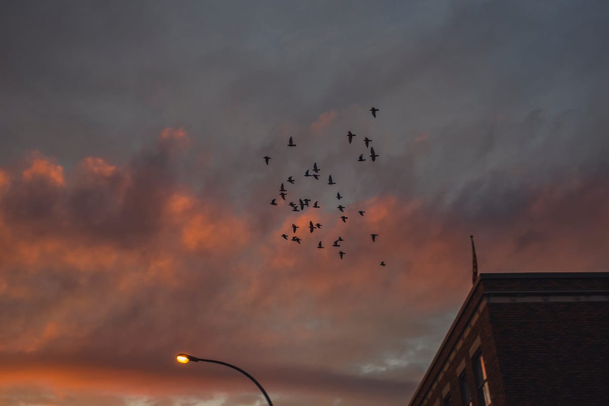 Photograph by Jp Valery in October 2017