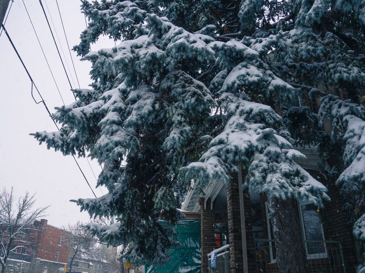Photograph by Jp Valery in December 2016