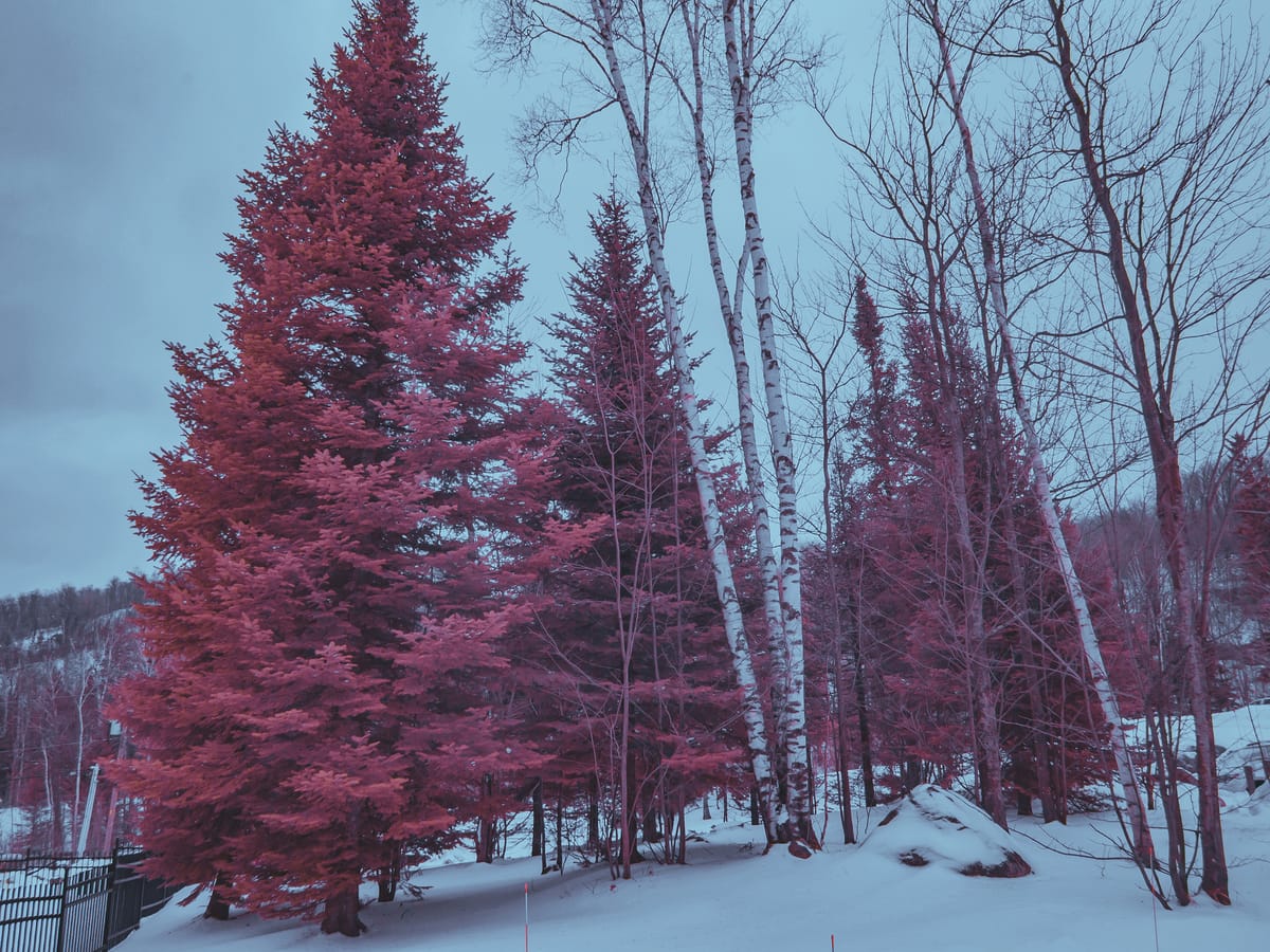 Photograph by Jp Valery in January 2018