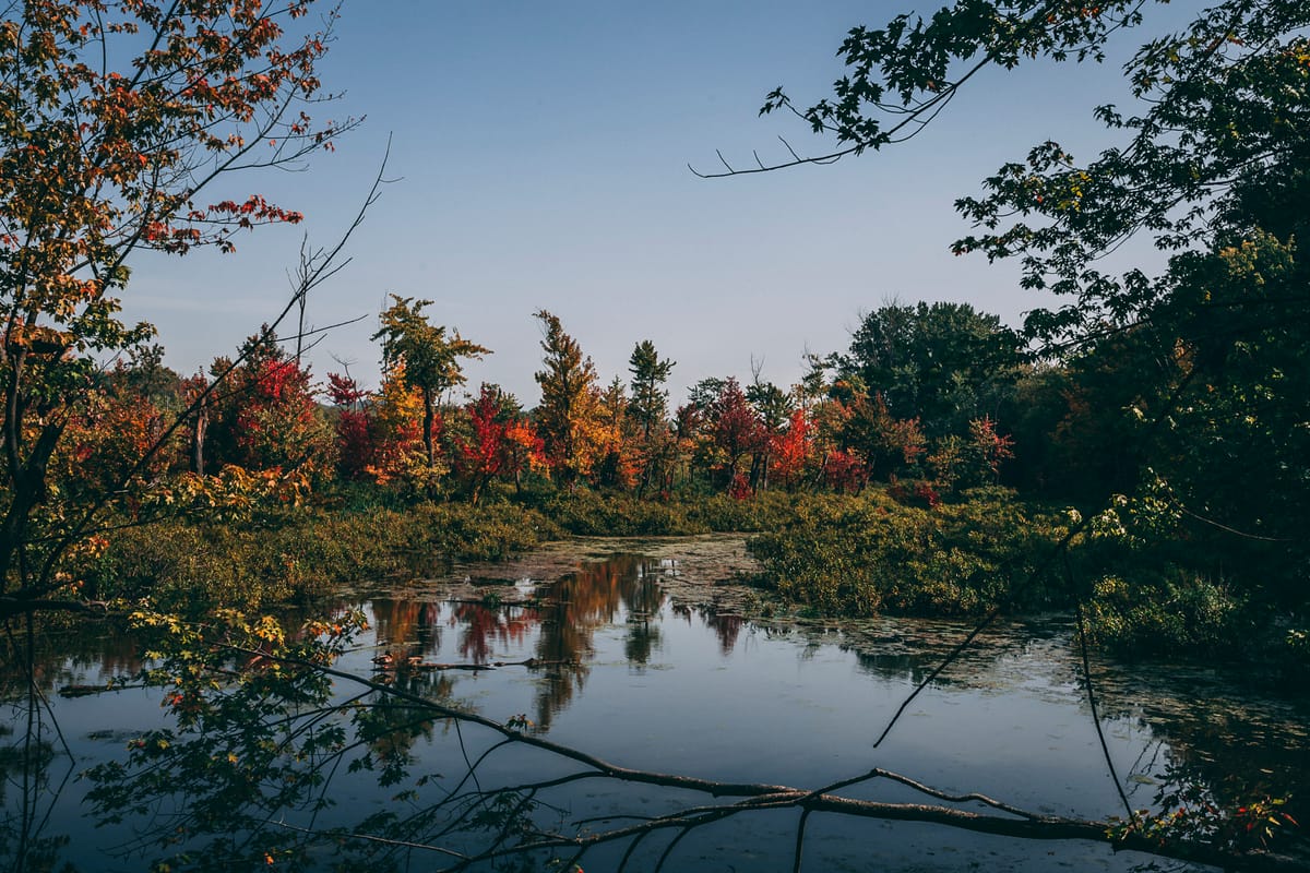 Photograph by Jp Valery in September 2017