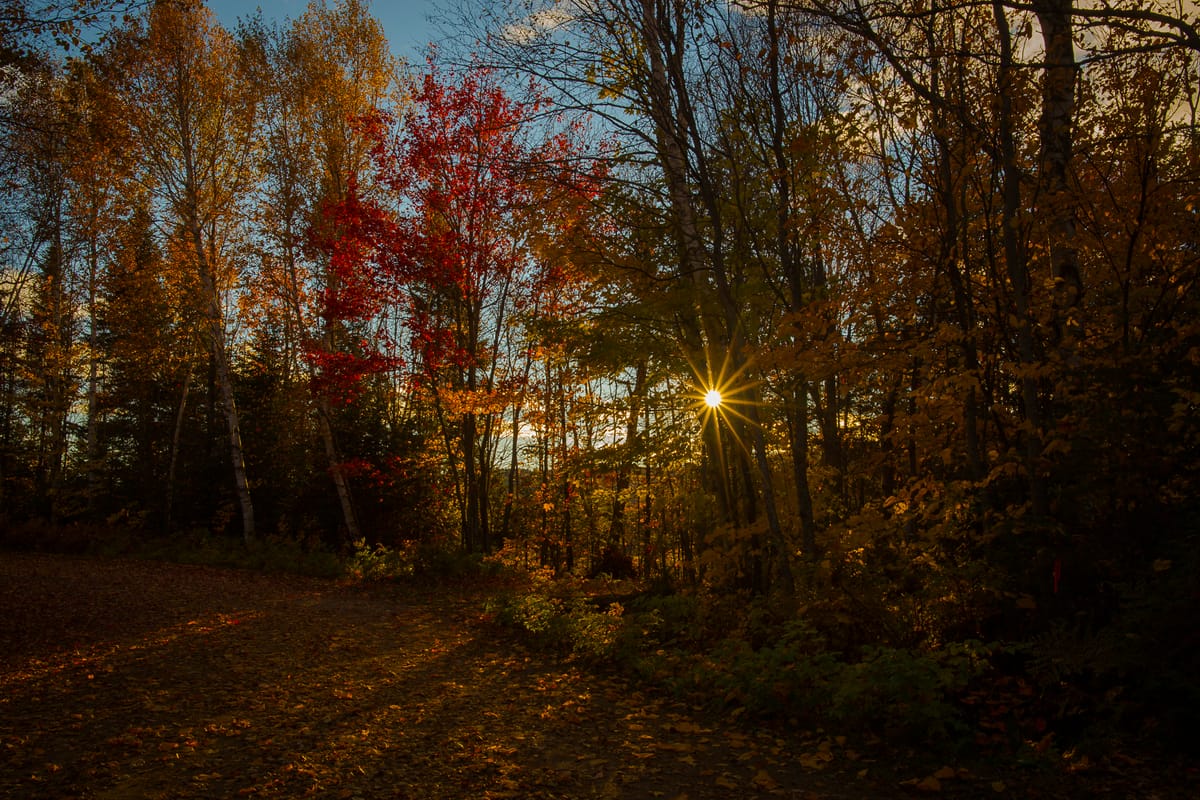 Photograph by Jp Valery in October 2015