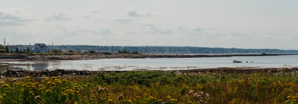 Photograph by Jp Valery in August 2021