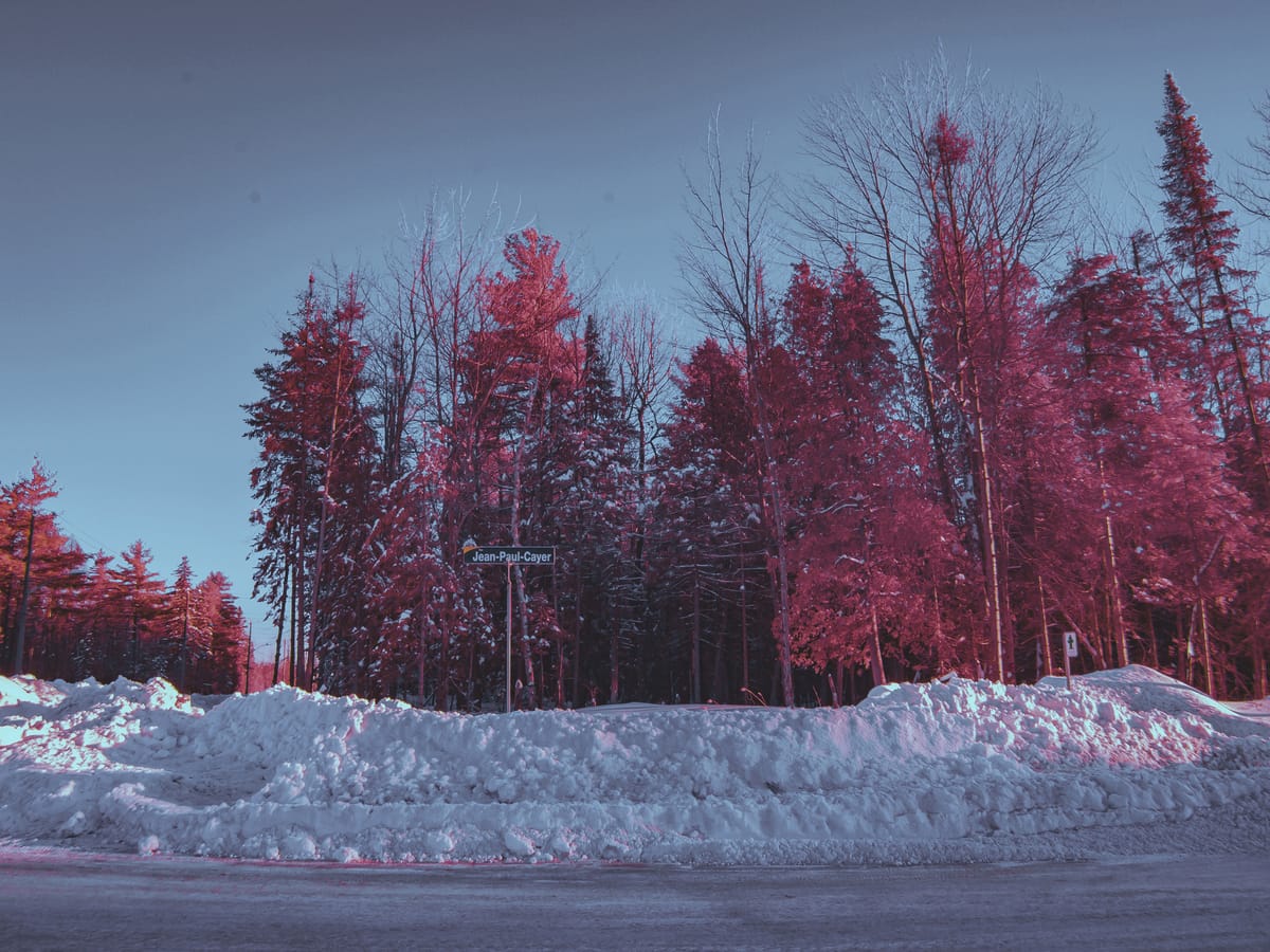 Photograph by Jp Valery in February 2018