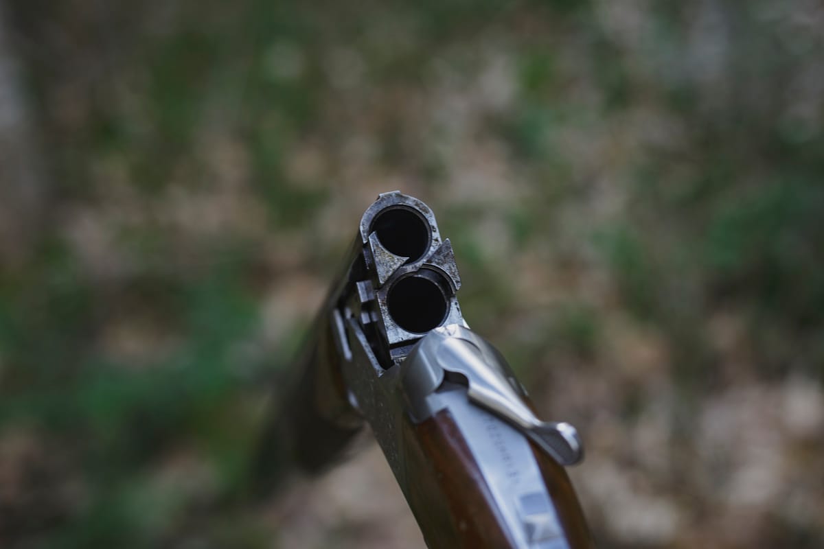 Photograph by Jp Valery in May 2019