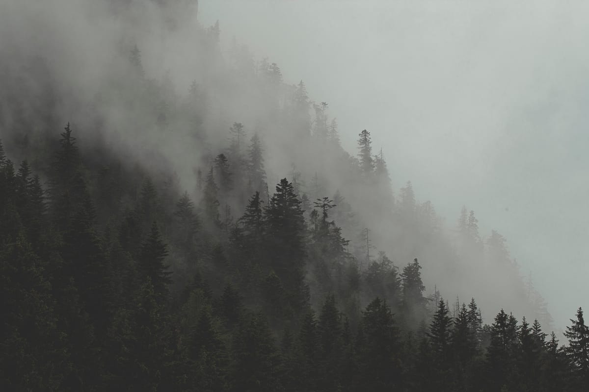 Photograph by Jp Valery in June 2018