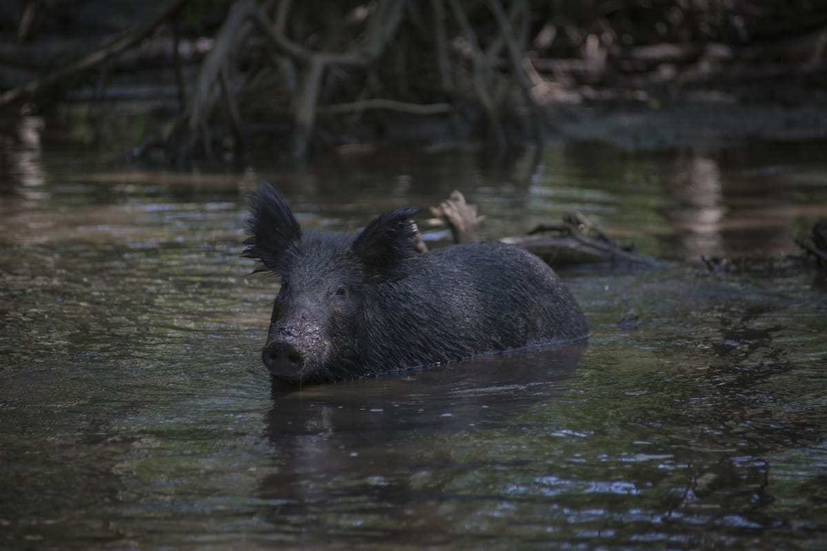 Photograph by Jp Valery in May 2016