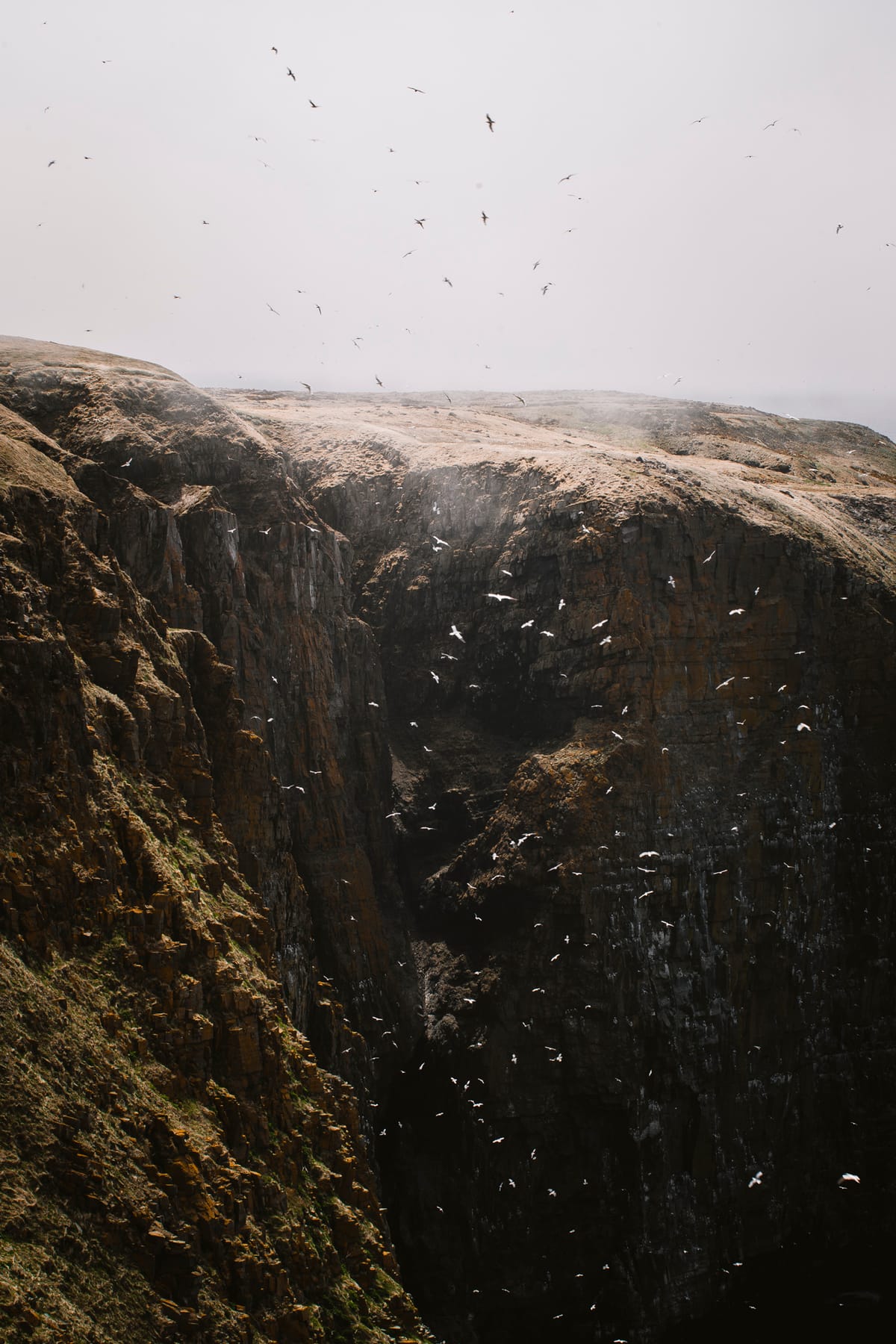 Photograph by Jp Valery in May 2019