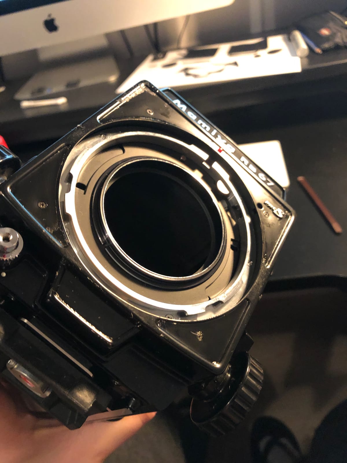 Photograph by Jp Valery in January 2019