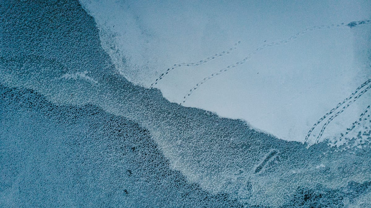 Photograph by Jp Valery in January 2019