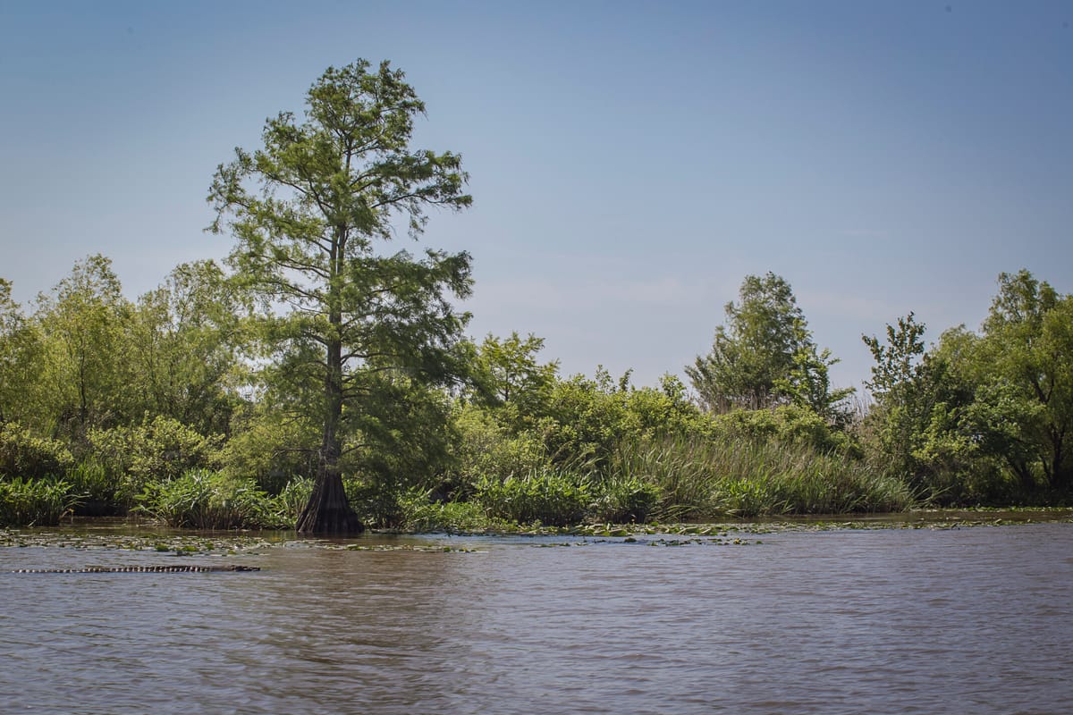 Photograph by Jp Valery in May 2016